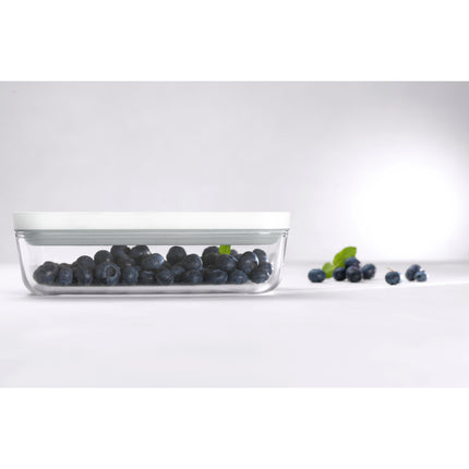 ZWILLING Fresh & Save S Vacuum box, glass, grey