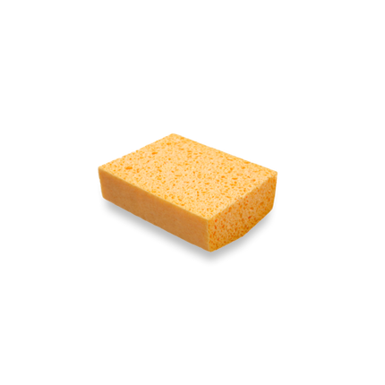 Sponge