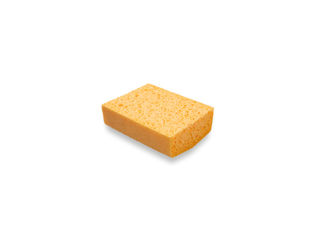 Sponge