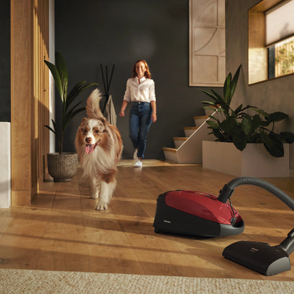 Classic C1 Cat & Dog PowerLine - SBBN0