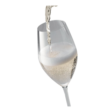 ZWILLING Predicat Champagne glass set 6 Piece