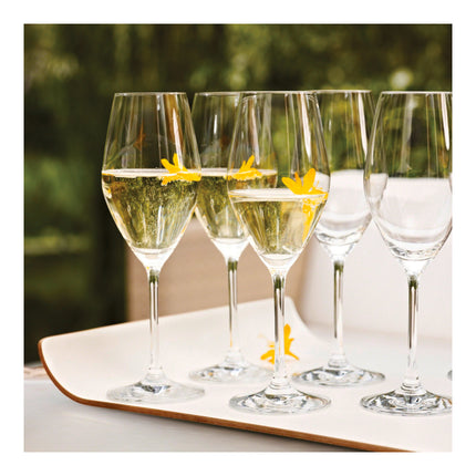 ZWILLING Predicat Champagne glass set 6 Piece