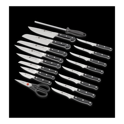 ZWILLING Pro 20 Piece, Knife block set, black