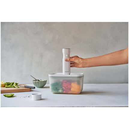 ZWILLING Fresh & Save L Vacuum box, plastic, semitransparent-grey