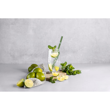 ZWILLING Sorrento Glass Straws
