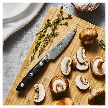 ZWILLING KRAMER Euro Stainless 3.5-inch, Paring knife