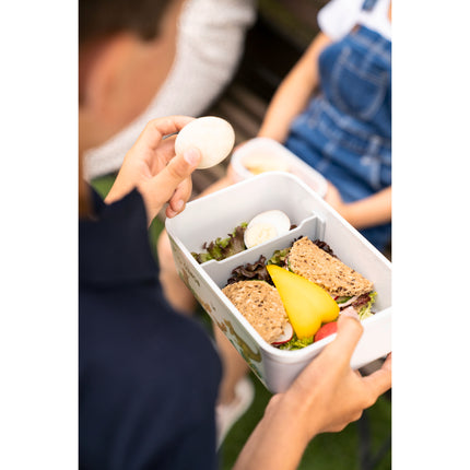 ZWILLING Dinos L DINOS Vacuum Lunch Box with divider, plastic, white-grey