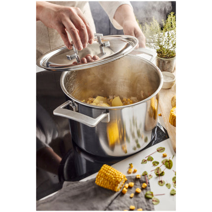 Demeyere Industry 5 8 l 18/10 Stainless Steel Stock pot with lid