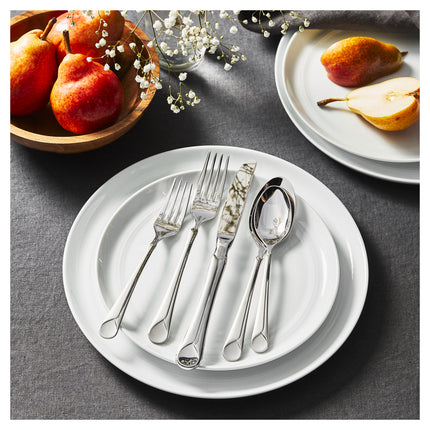 ZWILLING Provence 20 Piece Flatware Set matted/polished
