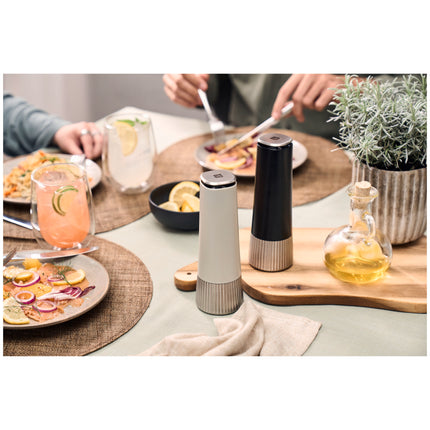 ZWILLING Spices Spice mill set 19 cm