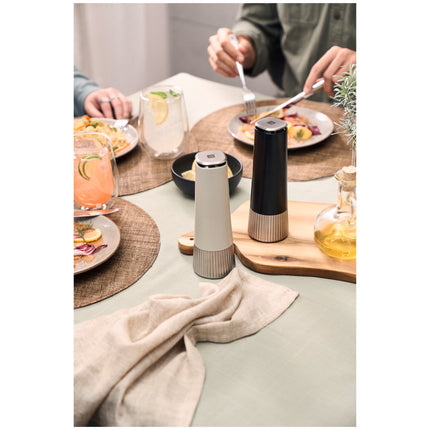 ZWILLING Spices Spice mill set 19 cm