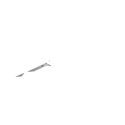 ZWILLING Pro 7-inch, Filleting knife