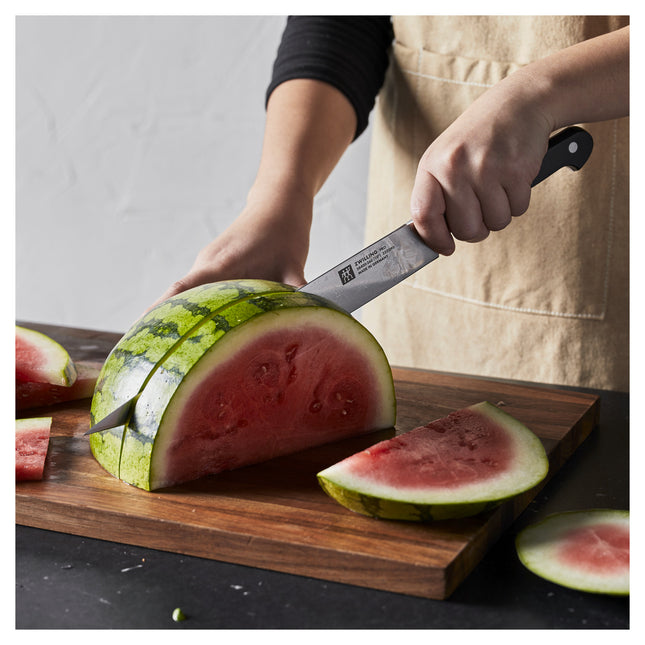 ZWILLING Pro 10-inch, Carving knife