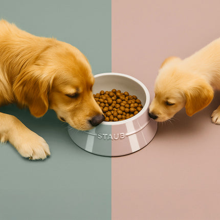 Staub Ceramique Pet Bowl 400 ml, ceramic