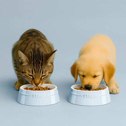 Staub Ceramique Pet Bowl 800 ml, ceramic