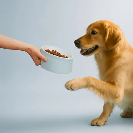 Staub Ceramique Pet Bowl 800 ml, ceramic