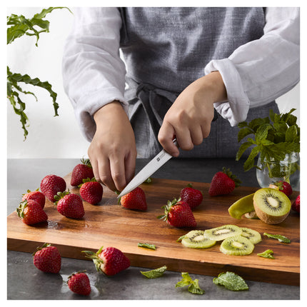ZWILLING **** Four Star 5-inch, Utility knife