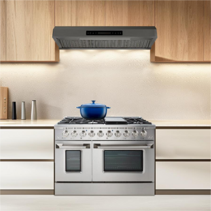 Vesta Alexandria 30" | Silver | 860 CFM Dual Motors